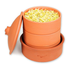 Hawos terracota clay sprouting pot
