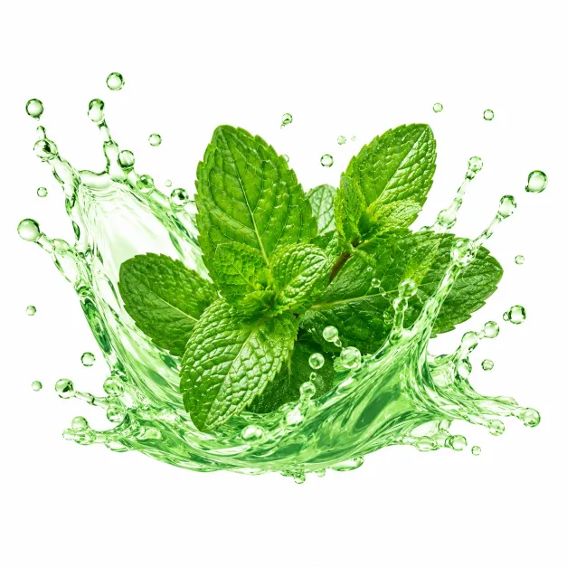 Mint beverage concentrate splash